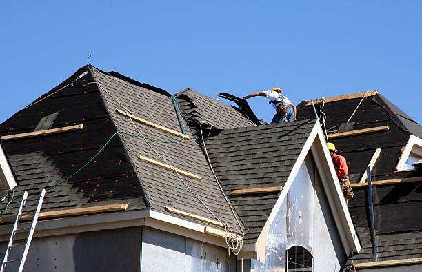 Roof Gutter Cleaning in Temple Terrace, FL
