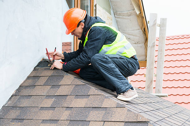 Best Commercial Roofing Services  in Temple Terrace, FL